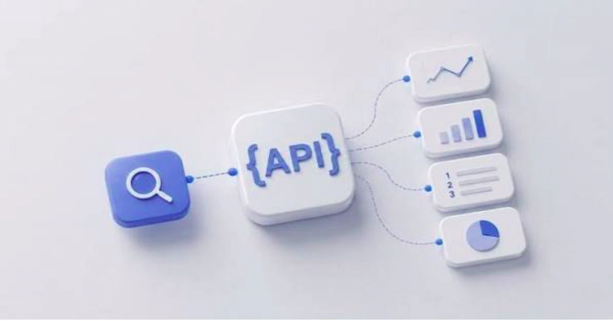 How to Use an SEO API to Automate Your Digital Marketing Strategy